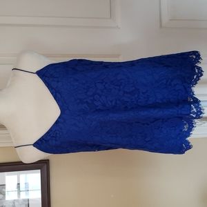 J. Crew Carrie Royal Blue Lace Cami Tank Top